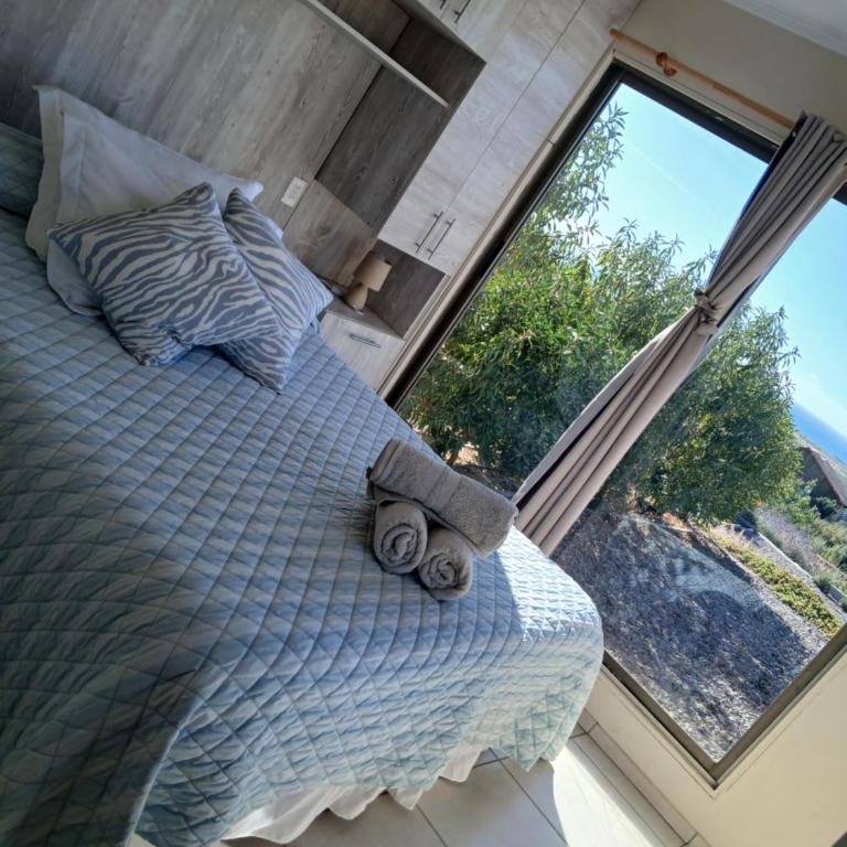 Cabaña Vista Panorámica al Mar - One-Bedroom Apartment - 29