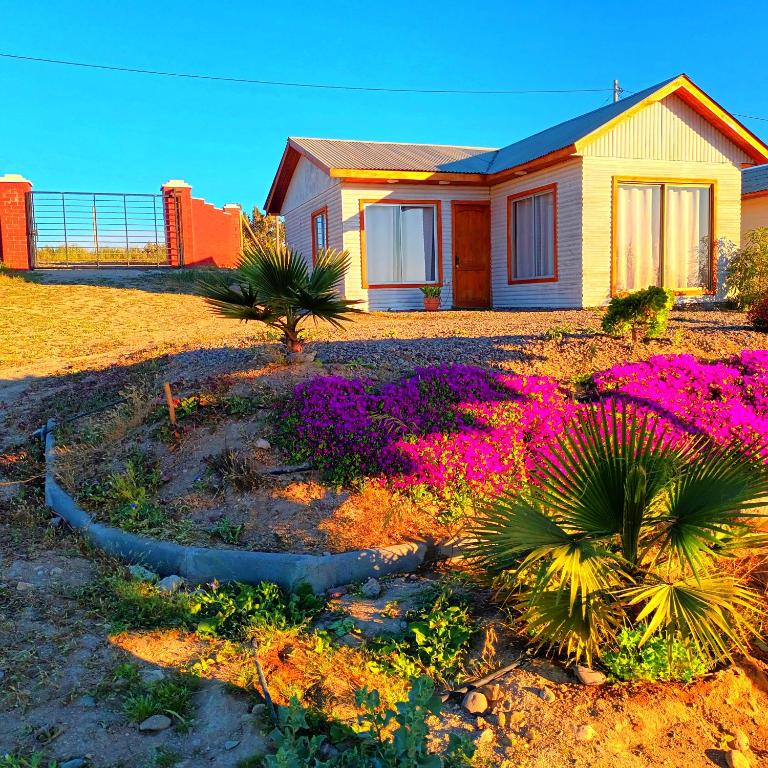 Cabaña Vista Panorámica al Mar - One-Bedroom Apartment - 66
