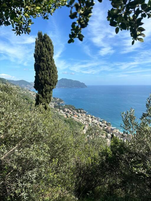 Oberdan45 casa vacanze - Appartamento con 2 Camere da Letto - 19