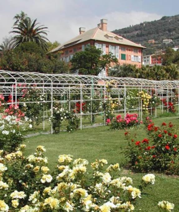 Oberdan45 casa vacanze - Appartamento con 2 Camere da Letto - 22
