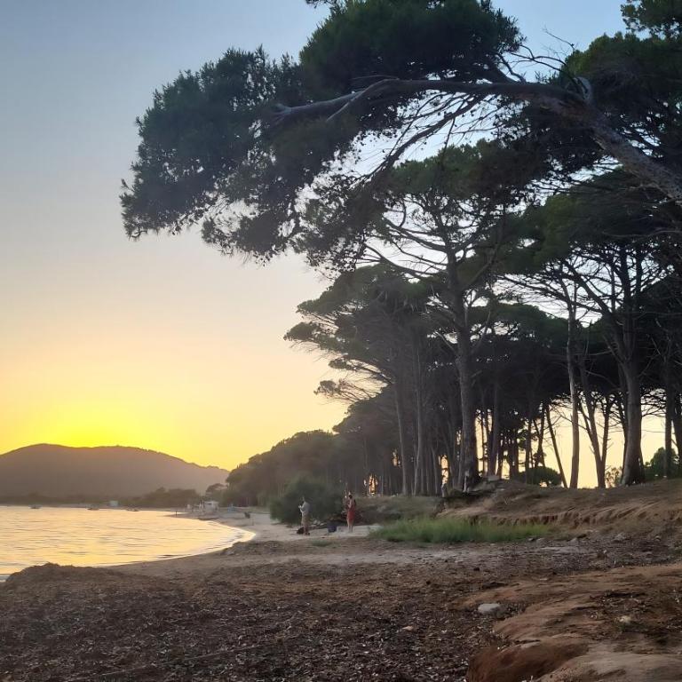 Seaside Escape to Alghero in Sardinia - Two-Bedroom House - 34