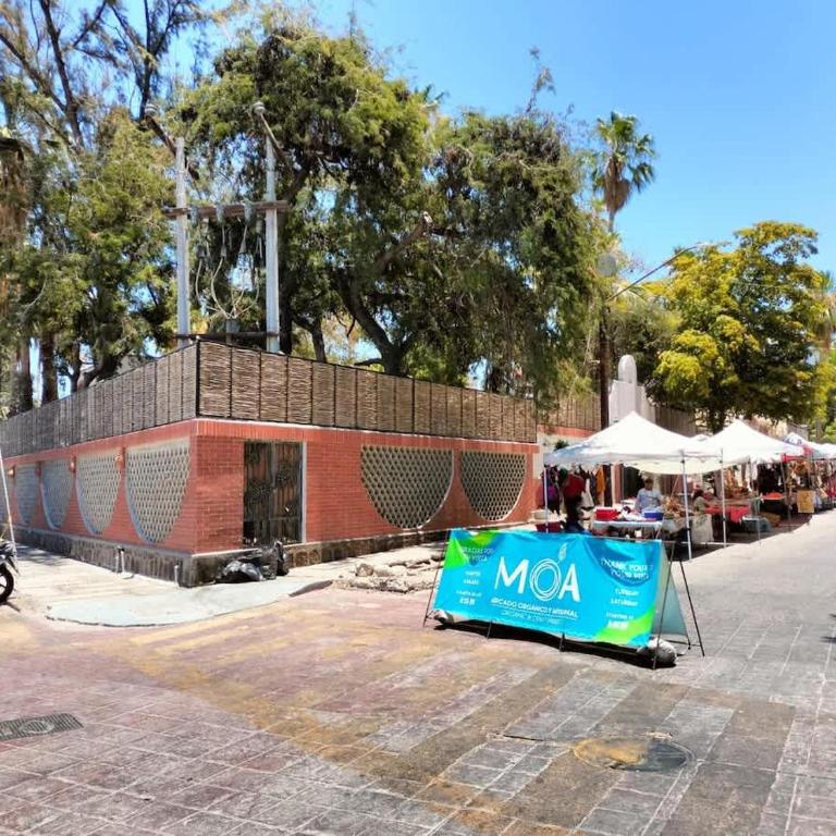SS 1B Cabaña rustica frente al malecon de La Paz - Bungalow - 20