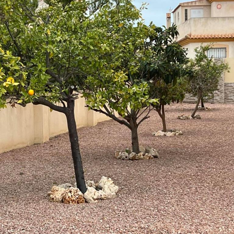 Luxury house with garden and private pool - Villa de 2 dormitorios - 23