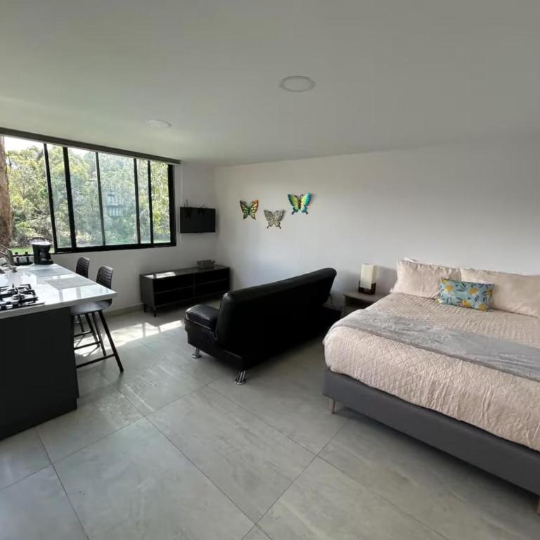 Luz de luna - Apartamento de 1 dormitorio - 2