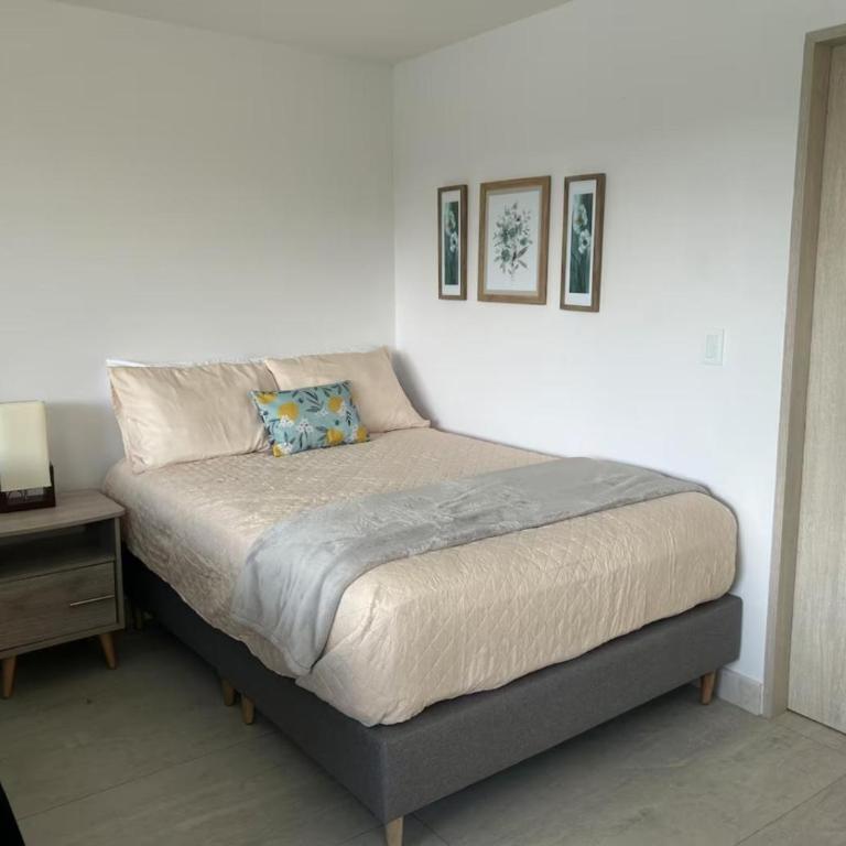 Luz de luna - Apartamento de 1 dormitorio - 3
