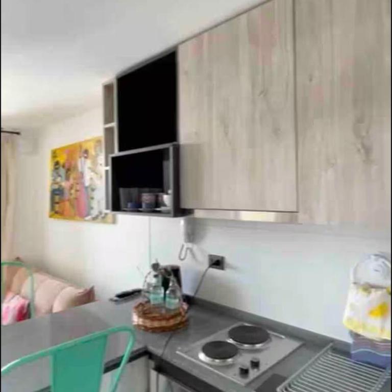 Departamento Vivo Caupolican Valdivia con vista al rio y bien ubicado - Apartamento de 1 dormitorio - 8