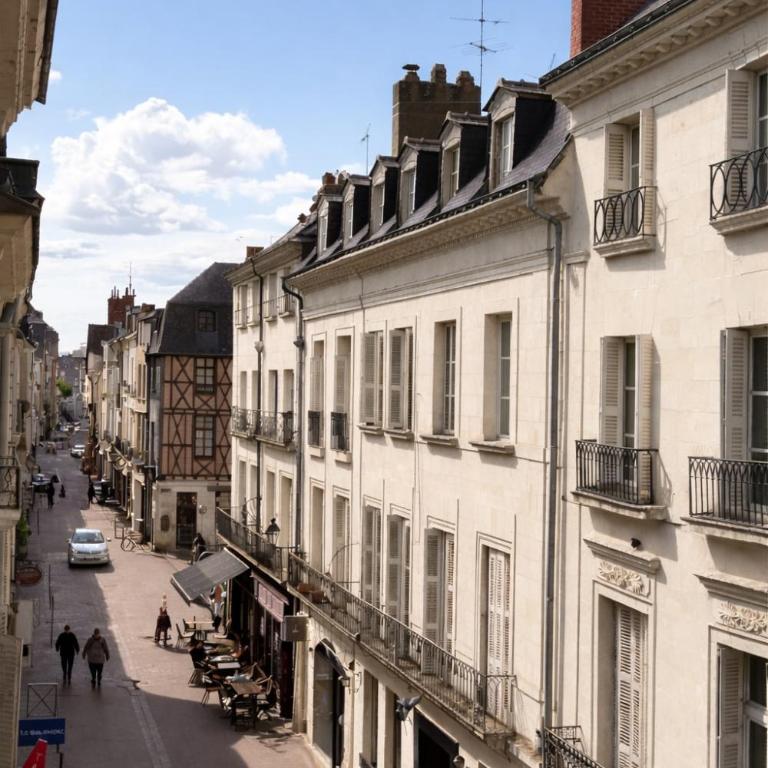 Le Royal Colbert - Hyper Centre - Cozy & Elegant - Appartement - Vue sur Ville - 16