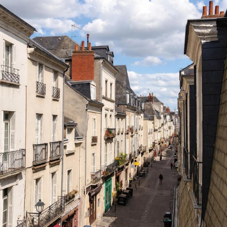 Le Royal Colbert - Hyper Centre - Cozy & Elegant - Appartement - Vue sur Ville - 17