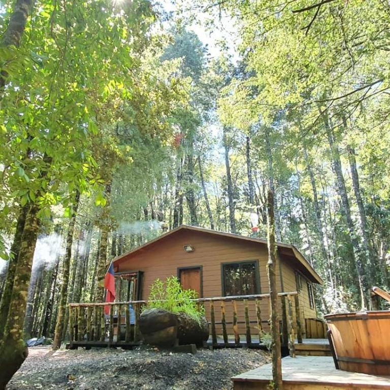 Cabañas Los Picaflores - Two-Bedroom Apartment - 7