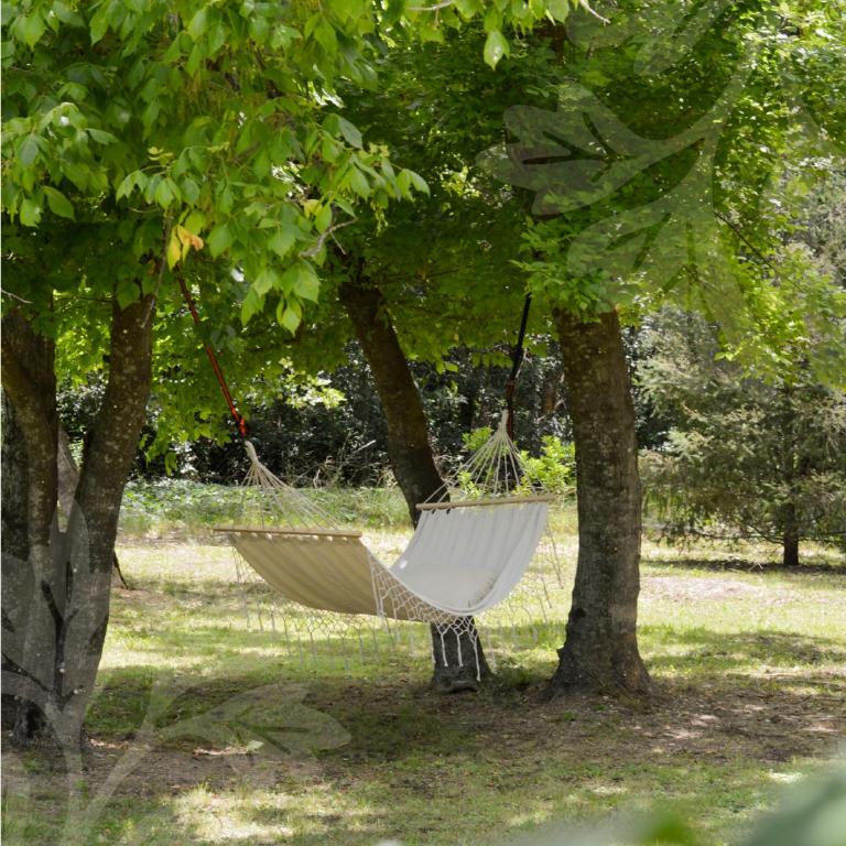 La Campiña - Three-Bedroom Vacation Home - 6
