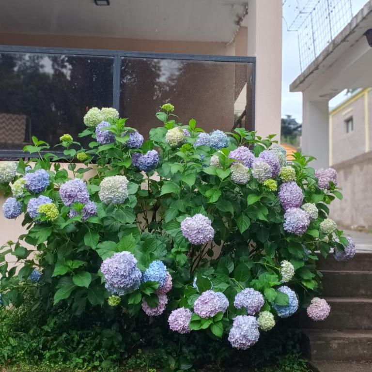 Quimelco casa de campo - Six-Bedroom House - 13
