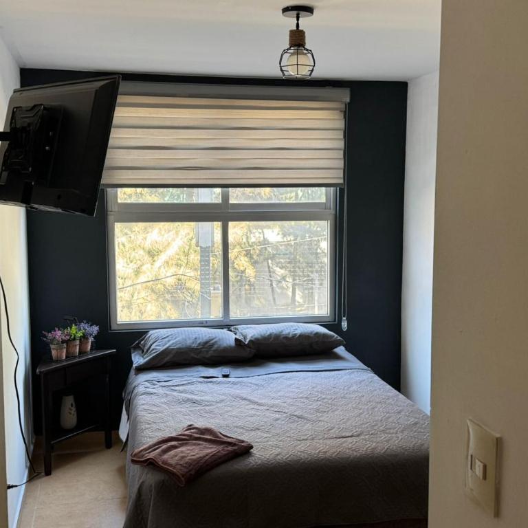 Departamento GNP Seguros - Three-Bedroom Apartment - 4