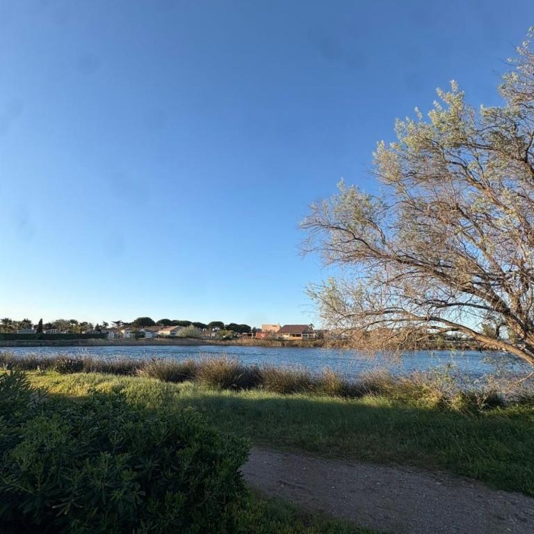 Un matin sur l'étang "LES LAGUNES DU SOLEIL" - Casa con 2 Camere da Letto - 28