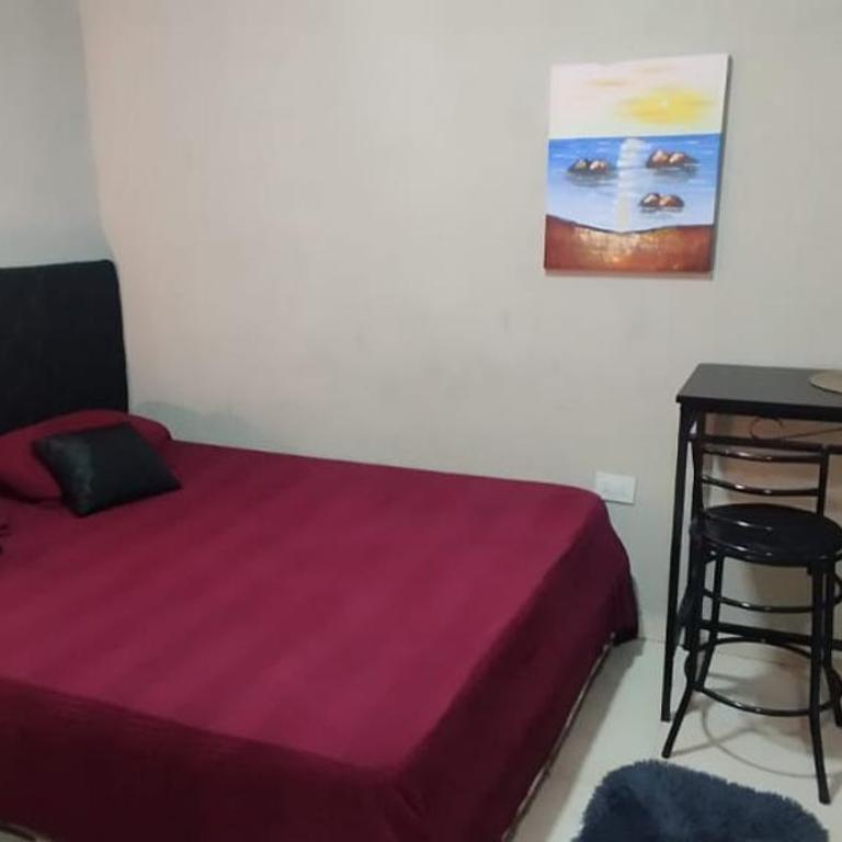 Departamento monoambiente amoblado - Casa de 2 dormitorios - 2
