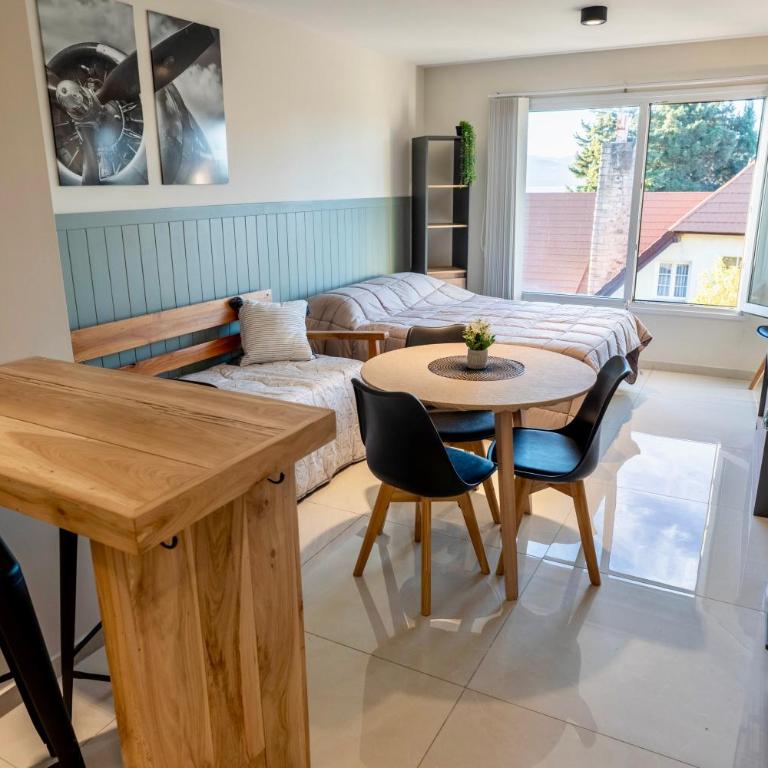 Moderno y Luminoso Monoambiente con Vista al Lago - Apartamento Superior de 1 dormitorio - 13