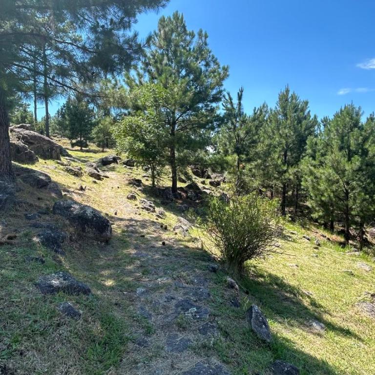 Cabaña de montaña con pileta en hermoso predio - One-Bedroom Chalet - 10