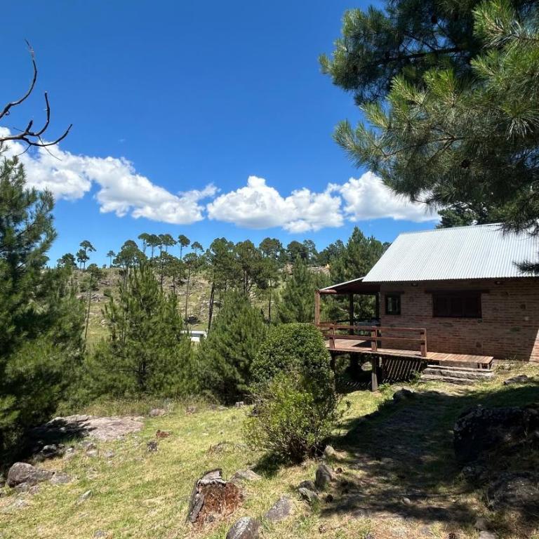 Cabaña de montaña con pileta en hermoso predio - One-Bedroom Chalet - 4