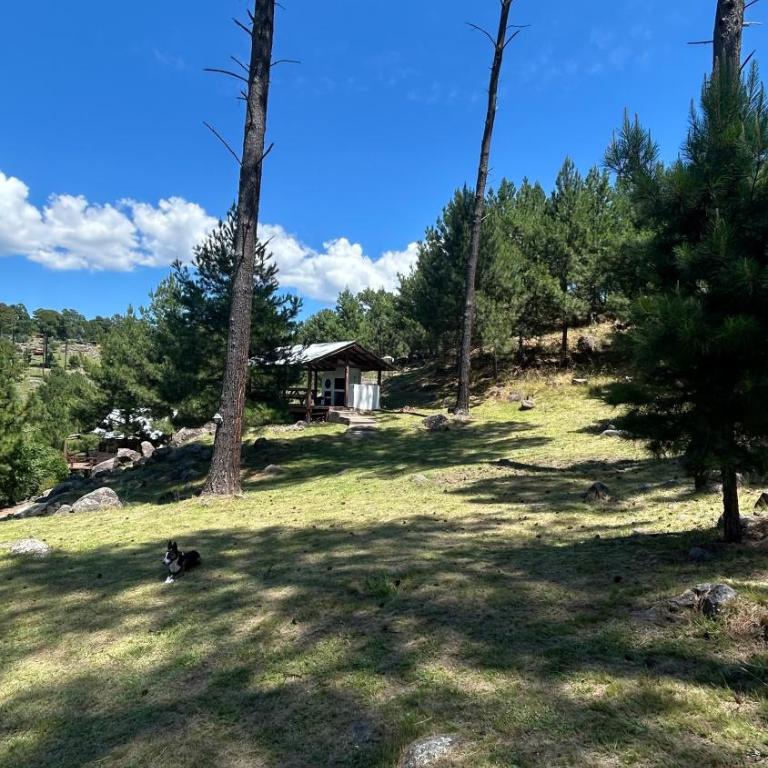 Cabaña de montaña con pileta en hermoso predio - One-Bedroom Chalet - 5