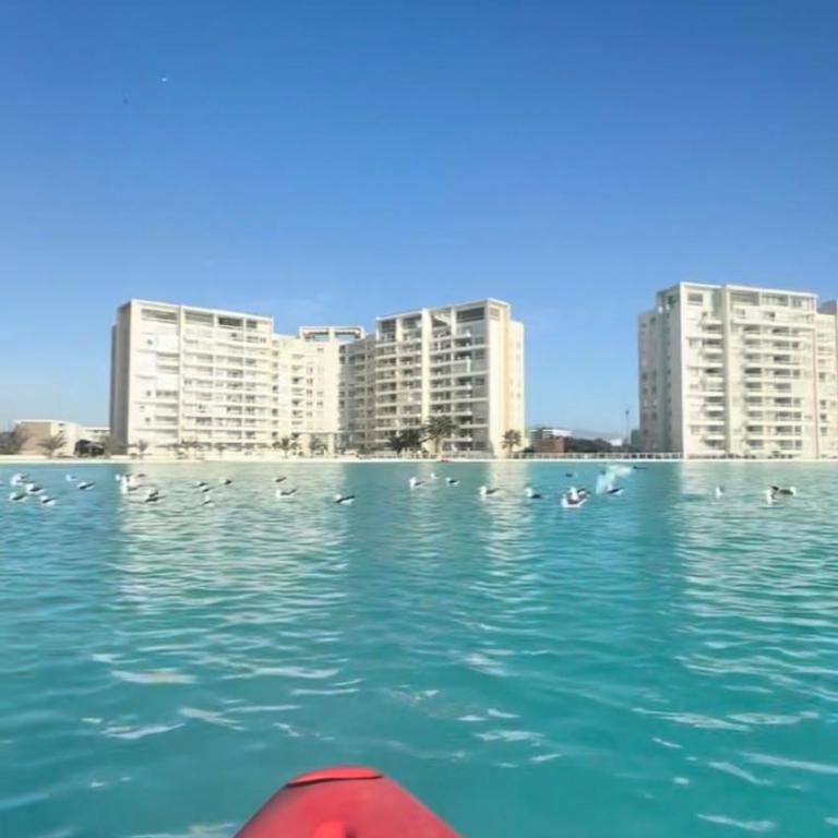 Laguna del Mar, C 208 - Apartment - 1