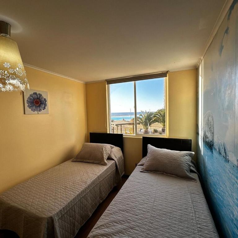 Laguna del Mar, C 208 - Apartment - 2