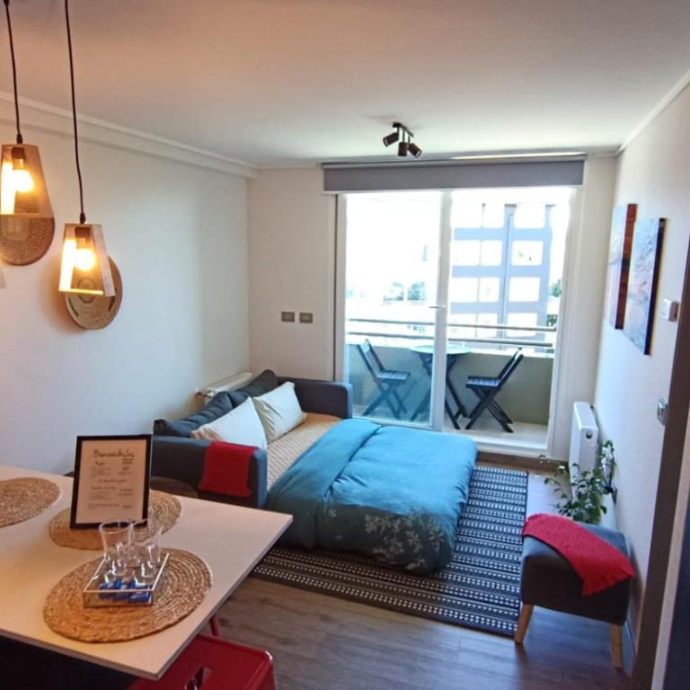 Hermoso Departamento completo cálido y cómodo - One-Bedroom Family Apartment - 29