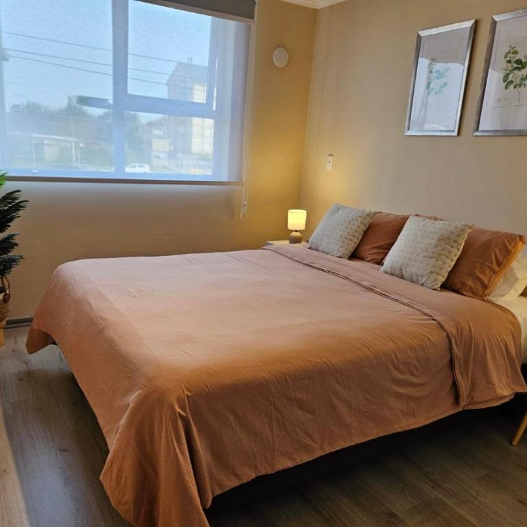 Departamento Villarrica Alto costanera Full equipado - Apartamento de 2 dormitorios con balcón - 5