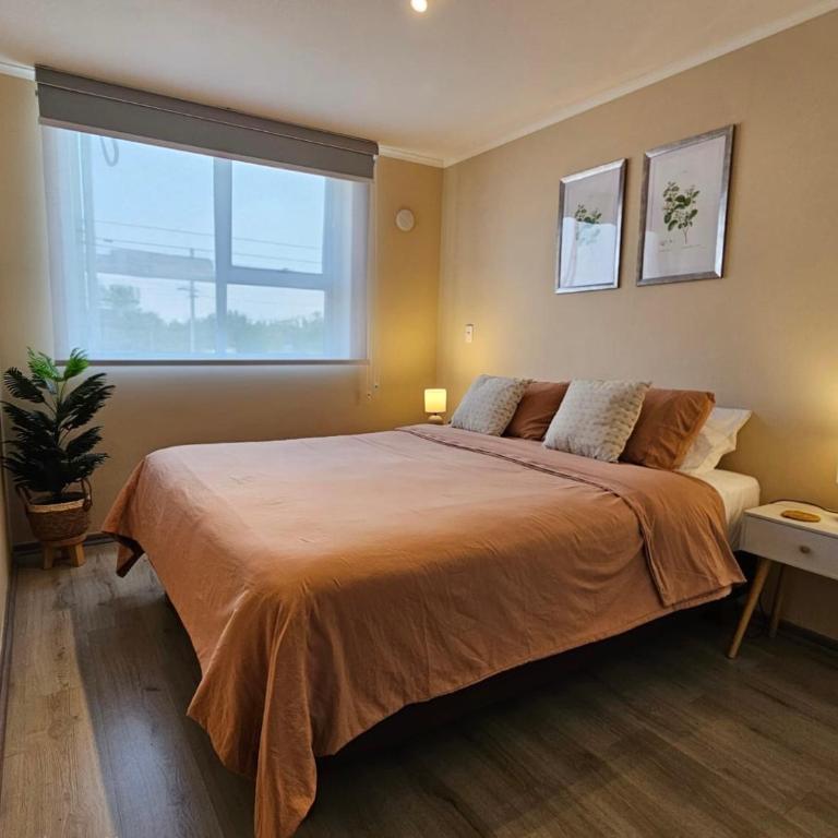 Departamento Villarrica Alto costanera Full equipado - Apartamento de 2 dormitorios con balcón - 4