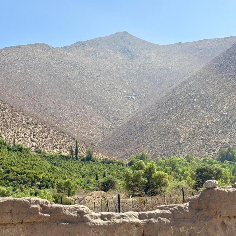 VALLE DEL ELQUI, DIAGUITAS-parcela - Three-Bedroom House - 5