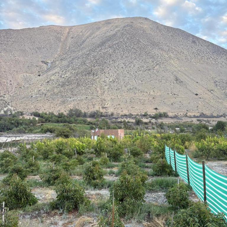 VALLE DEL ELQUI, DIAGUITAS-parcela - Three-Bedroom House - 10