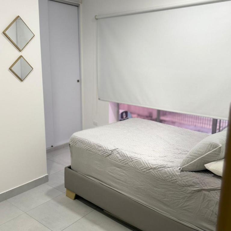 Diplastic House - Apartamento de 1 dormitorio - 5