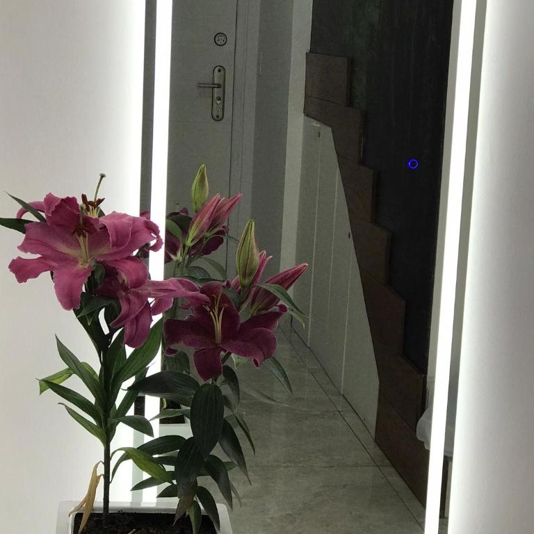 Albano, Ocean view and pool near Miraflores and airport - Apartamento de 2 dormitorios - 20