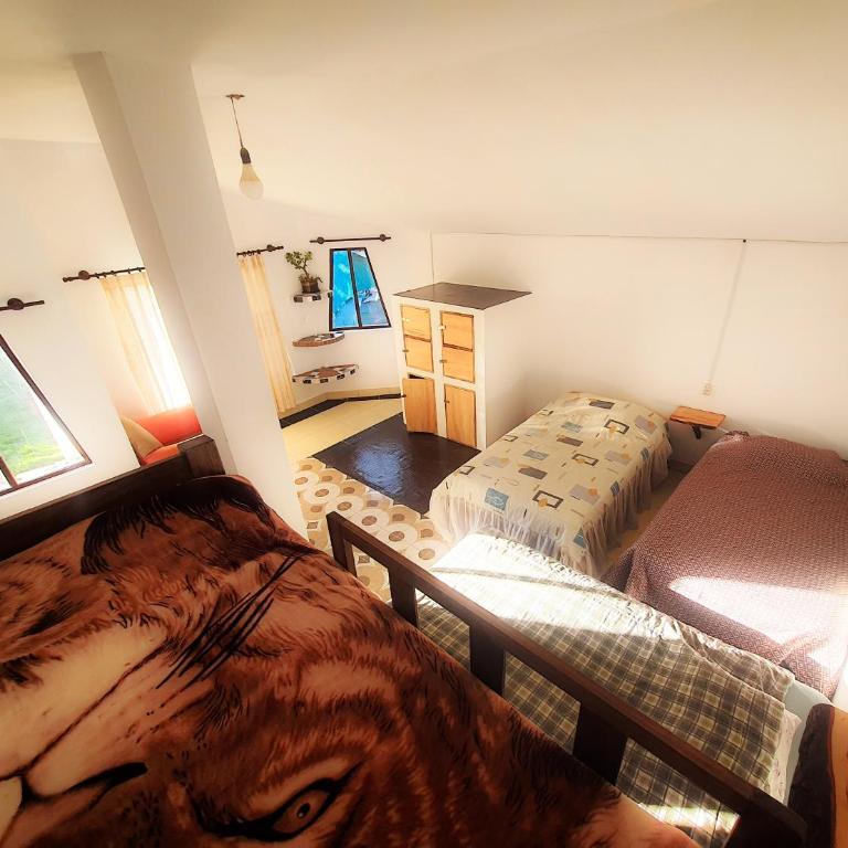 Lodge & Camping Suma Samawi - Cama en habitación compartida mixta de 6 camas - 3
