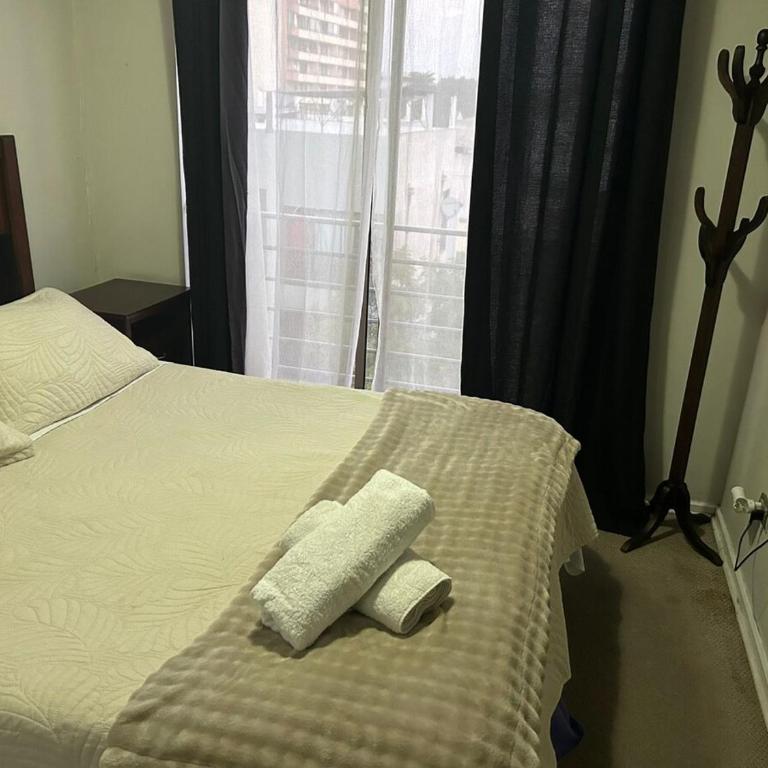 Departamento 4 personas Parque O'Higgins - Two-Bedroom Apartment - 9