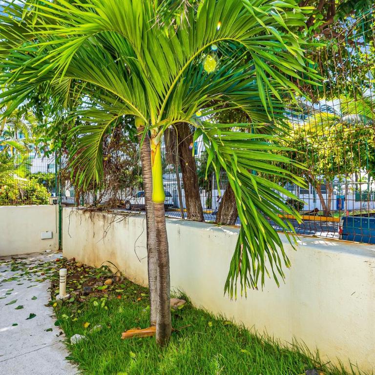 Nitta Condo #203 | Condo in Nuevo Vallarta - Casa - 32