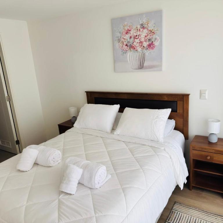 Departamento Temuco Centro - One-Bedroom Apartment - 1