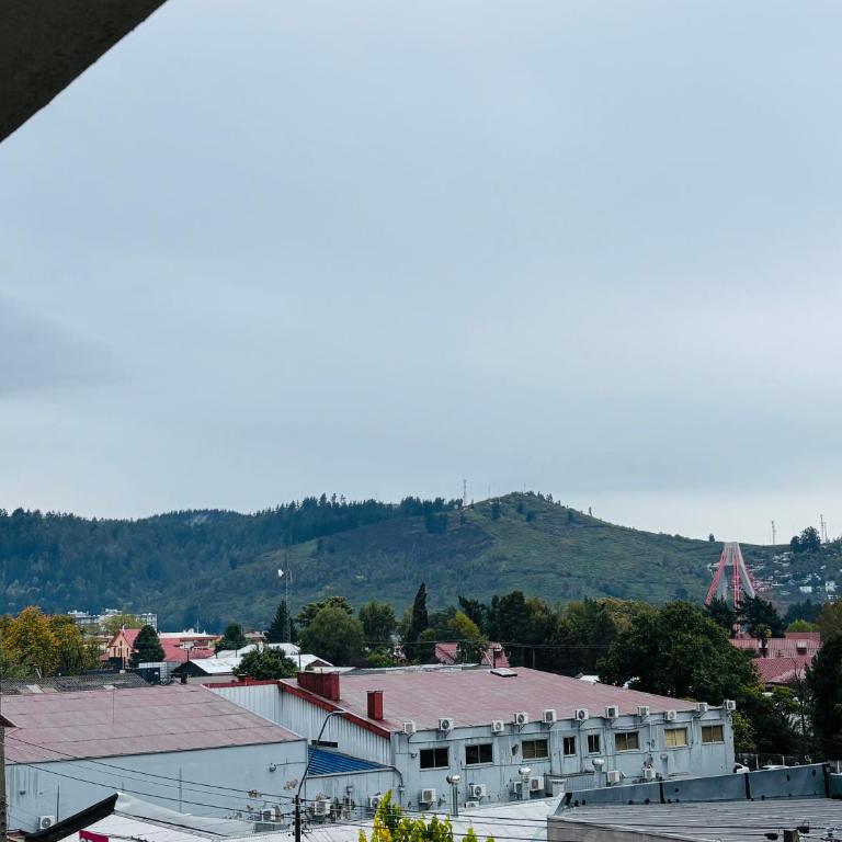 Departamento Temuco Centro - One-Bedroom Apartment - 12