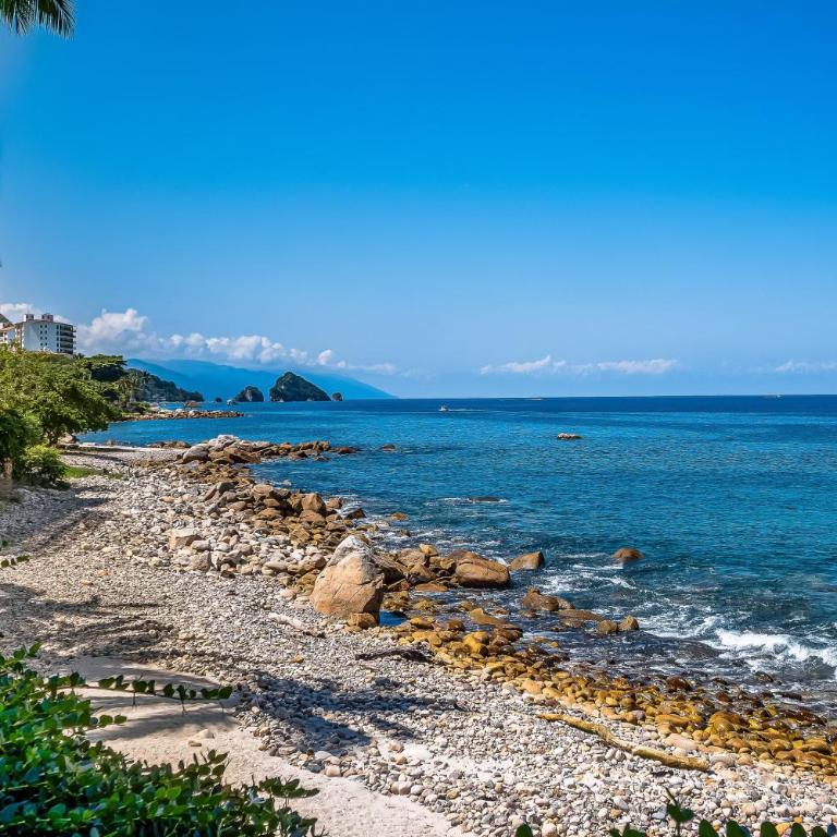 Cozy beachfront apartment with stunning ocean views and resort amenities - Vacation Home - 59