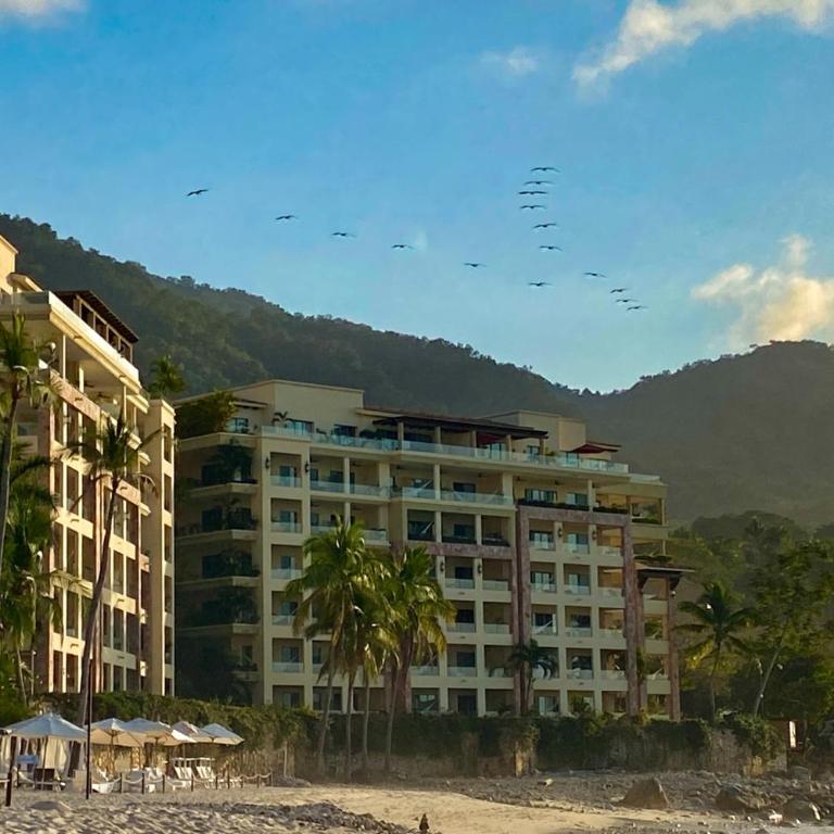 Cozy beachfront apartment with stunning ocean views and resort amenities - Vacation Home - 49