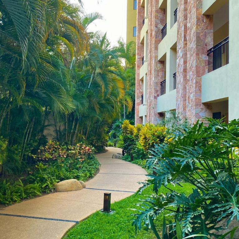 Cozy beachfront apartment with stunning ocean views and resort amenities - Vacation Home - 51
