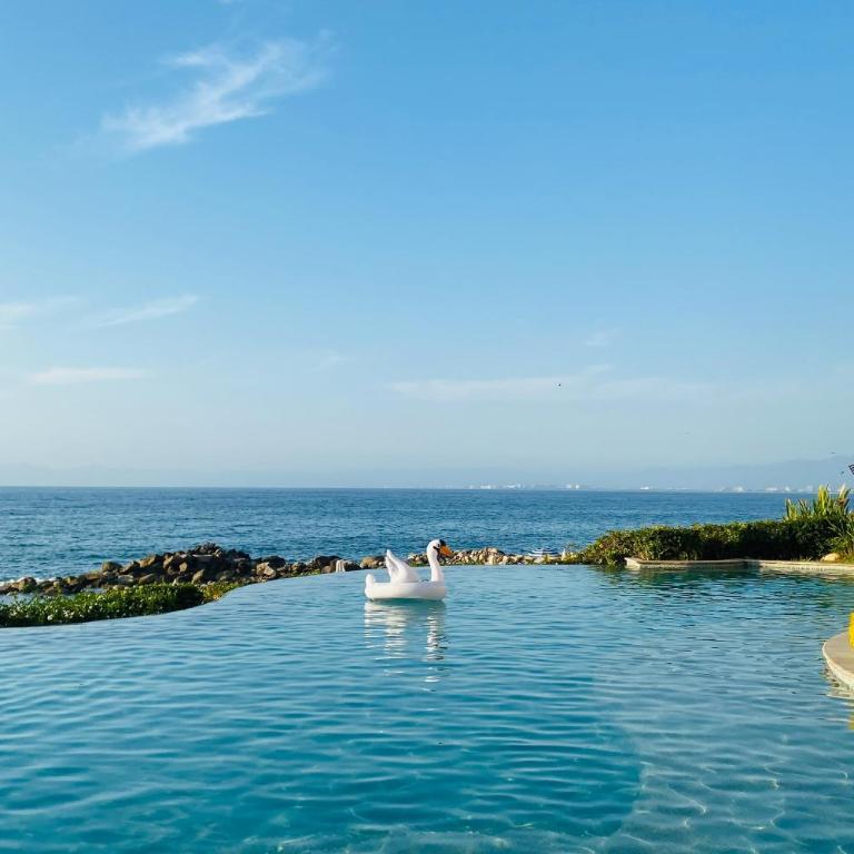 Cozy beachfront apartment with stunning ocean views and resort amenities - Vacation Home - 44