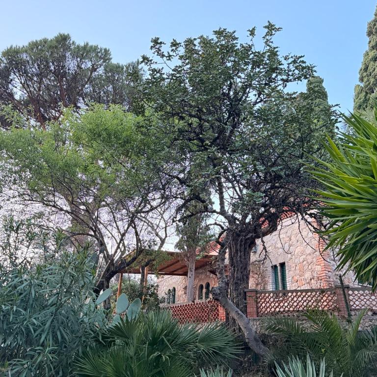 Torre Bianca - Casa Ibiscus - One-Bedroom House - 17