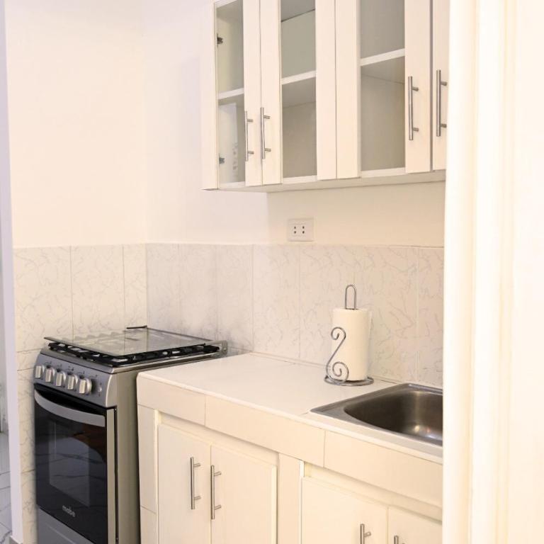 Mini Loft Lince Prime - Apartamento de 1 dormitorio - 8