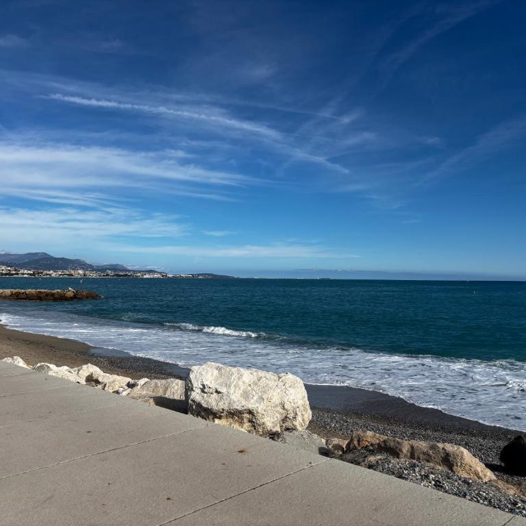 Charmant cocon lumineux avec extérieur à 150m de la plage - Apartment mit 1 Schlafzimmer - 9