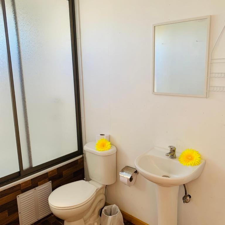 Hostal y Cabañas Pua Vaenga - Deluxe Double Room with Balcony and Sea View - 2