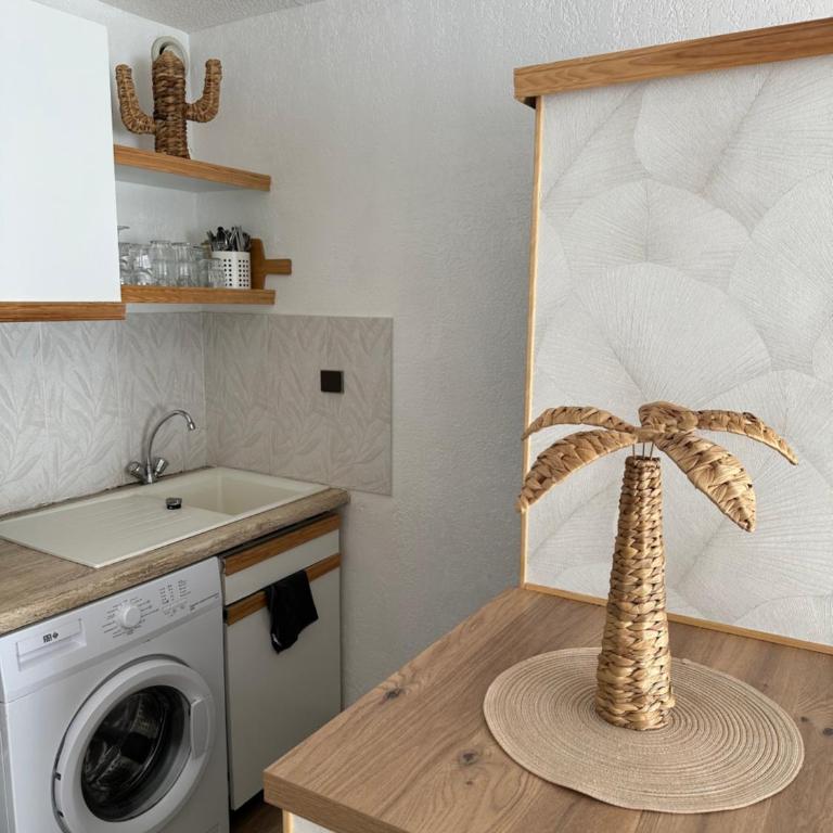 STUDIO Front de mer - Studio avec Vue sur Jardin - 4