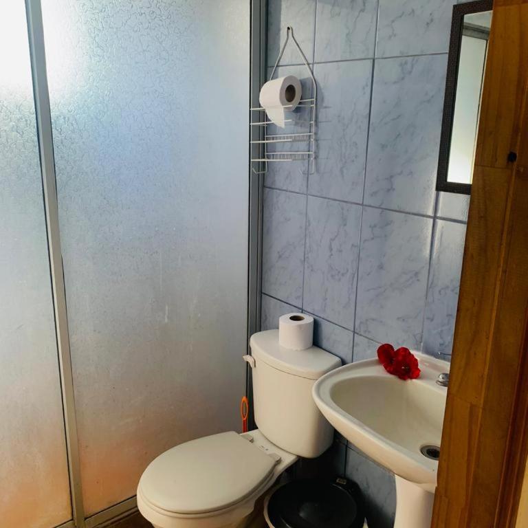 Hostal y Cabañas Pua Vaenga - Standard Double Room with Shared Bathroom - 3