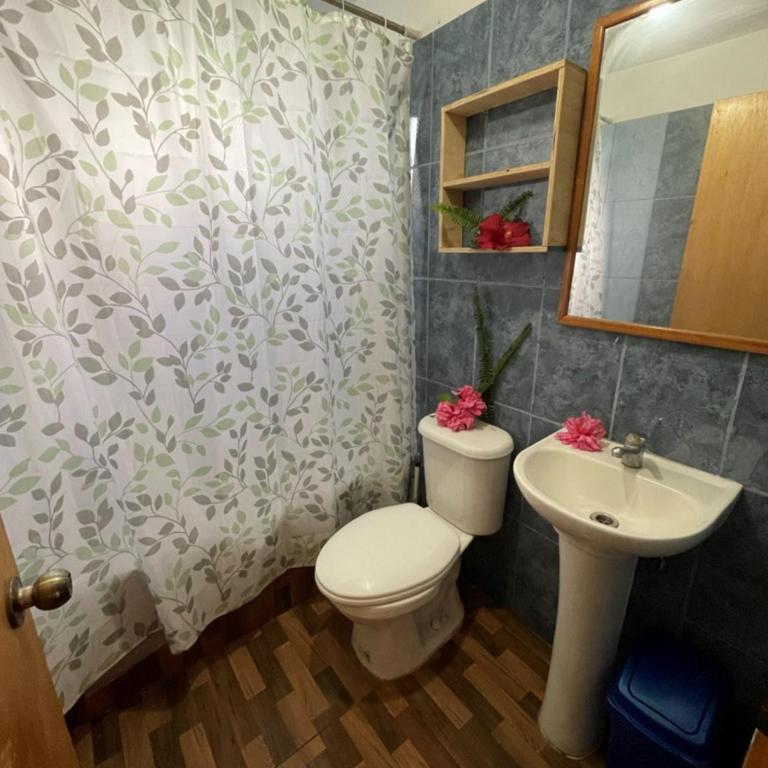 Hostal y Cabañas Pua Vaenga - Double Room with Shared Bathroom - 2