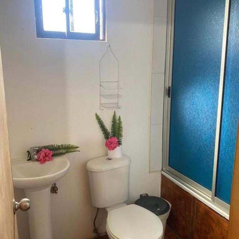Hostal y Cabañas Pua Vaenga - Triple Room with Private Bathroom - 2