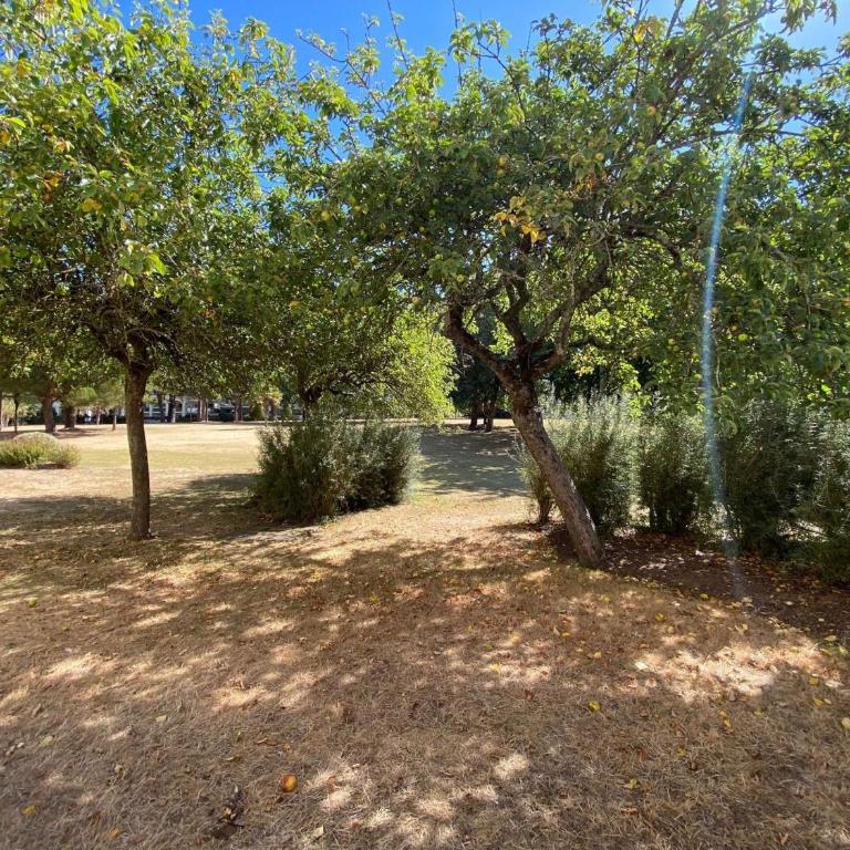 Royal Park, T2 - Résidence avec piscine - LA BAULE LES PINS - LB070-007 - Apartment mit 1 Schlafzimmer - 17