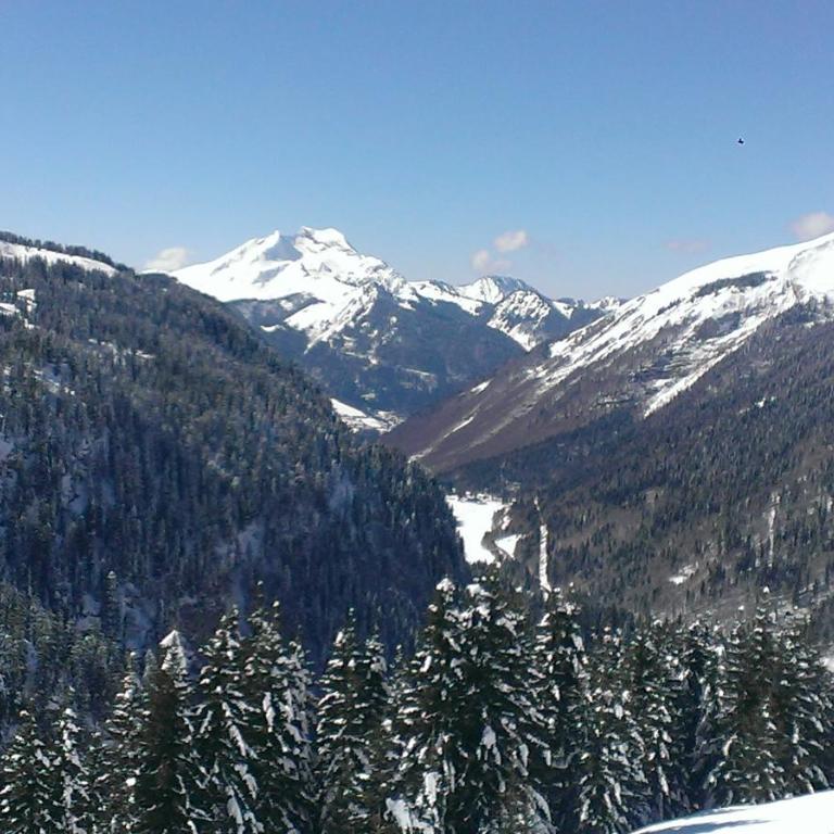 Apartment La Chapelle d'Abondance - Appartement avec Vue sur la Montagne - 19